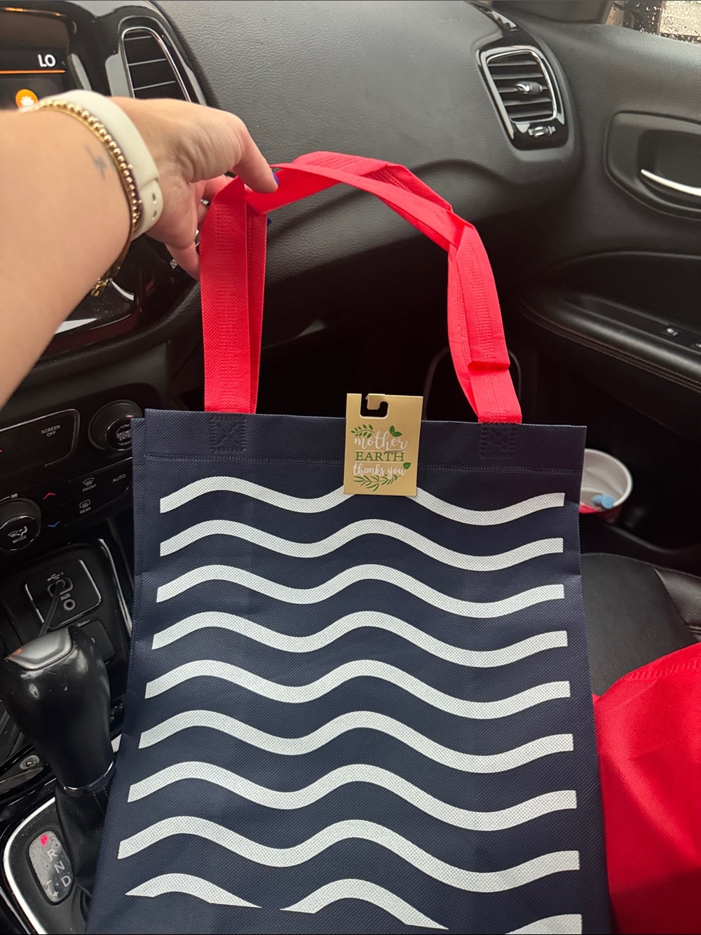 NWT waves tote